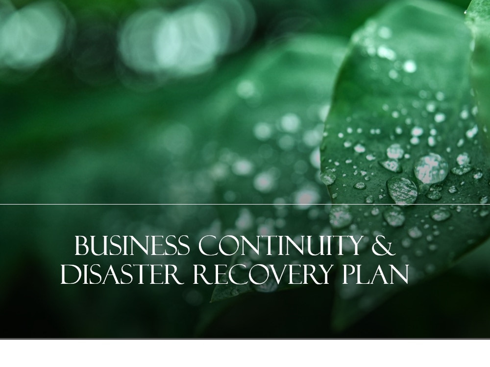 Disaster Recovery Planning